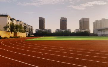 学校体育的工作计划5篇