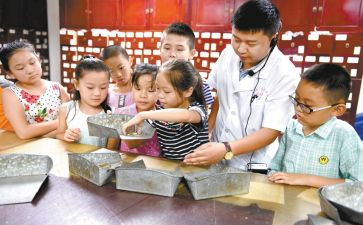 2024小学艺术节活动方案7篇
