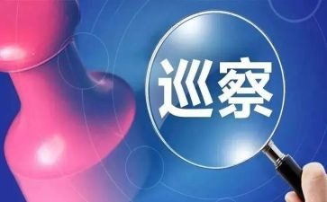 巡察干部的工作总结6篇