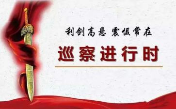 局巡察汇报材料8篇