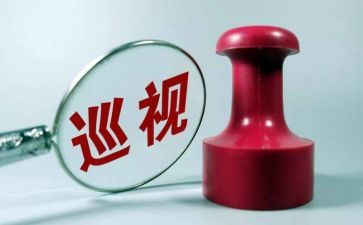 巡查组工作总结5篇