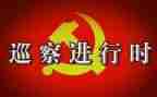 迎巡察工作总结优质8篇