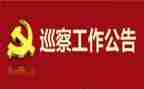 巡察全面从严治党工作总结6篇