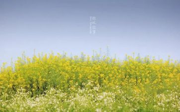 2024年叙事作文优质5篇