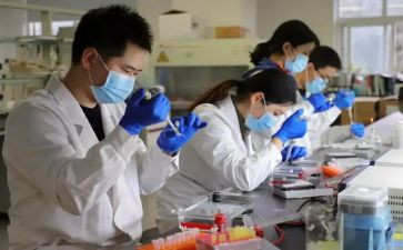 研发工作总结参考6篇