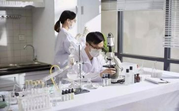 研发员的工作总结优质8篇