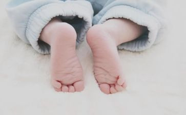幼儿园蚕宝宝游戏教案7篇