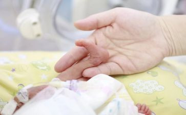 蛋宝宝教案优质6篇