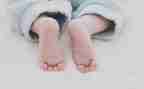 幼儿园蚕宝宝游戏教案7篇