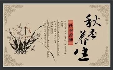 养生茶活动方案8篇