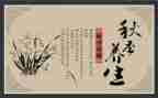 养生茶活动方案8篇