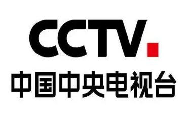央视2024观后感优秀8篇