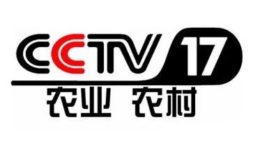 央视2024观后感精选5篇