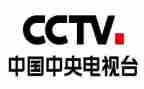 央视2024观后感优秀8篇
