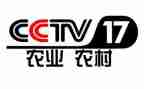 央视2024观后感精选5篇