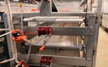 2024年水产养殖工作总结7篇