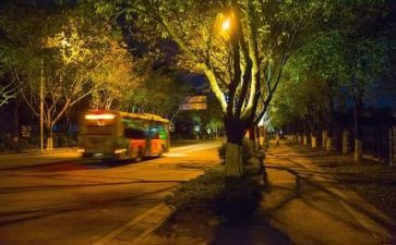 公司年夜饭活动方案7篇