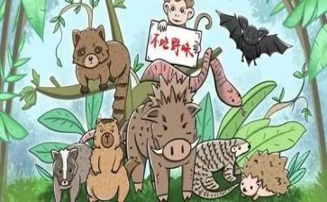 野味从我做起的演讲稿6篇