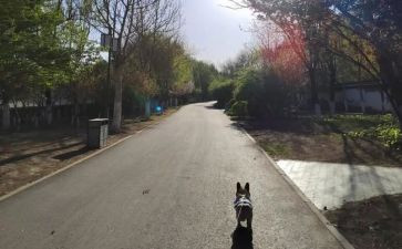 神一步工作计划6篇