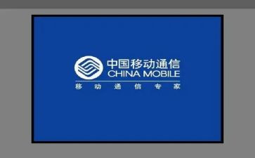 移动公司的个人总结5篇