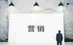 营销半年工作总结精选8篇
