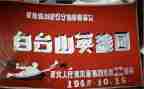 心目中的英雄作文600字5篇