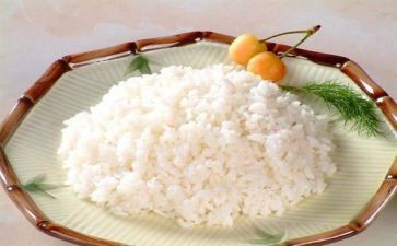 营养食品心得体会6篇