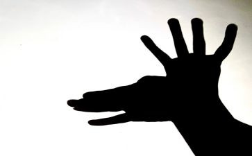 影子教案通用8篇