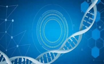 毕业医学生自我鉴定表范文优秀5篇