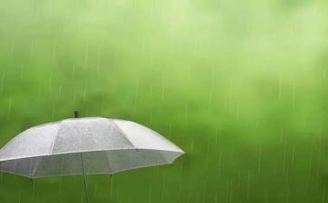 春雨小班教案7篇