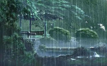 下雨的军训心得7篇