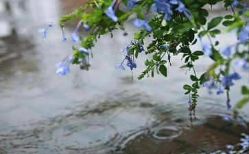 大班秋天的雨教案最新7篇
