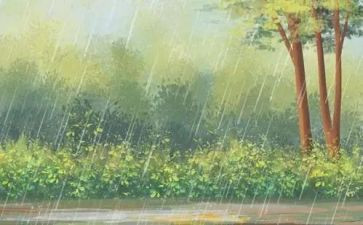 雨中奔跑的作文7篇