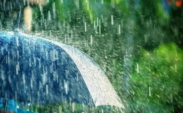 秋天的雨幼儿教案反思8篇