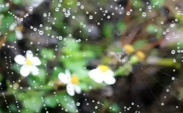 雨的奥秘作文6篇