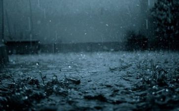 识字雨的教案推荐8篇