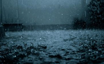 蚂蚁搬家要下雨作文6篇