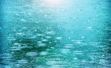 春雨小班教案5篇