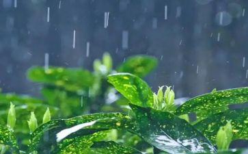 在雨中奔跑的作文5篇