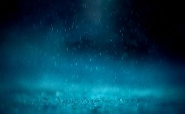 关于雨来故事的演讲稿最新6篇