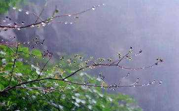 充气雨衣的教案8篇