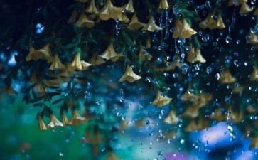 充气雨衣教学反思8篇
