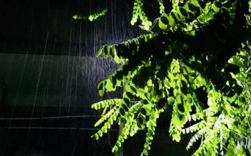 对雨的感受作文精选8篇