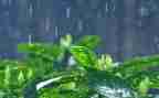 在雨中奔跑的作文5篇