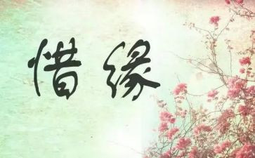 与花结缘作文7篇