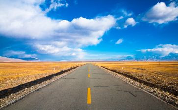 远方的树读后感参考5篇