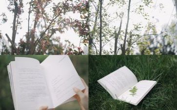 教师阅读节心得体会最新8篇