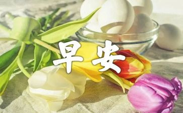 早教活动方案策划7篇