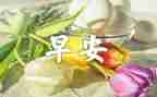早教活动方案策划7篇