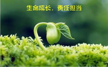 强化责任与担当心得体会6篇